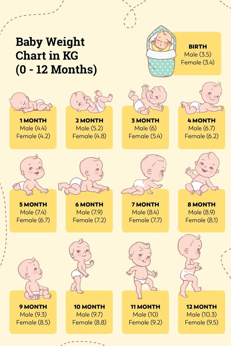 pregnancy-trimesters-chart